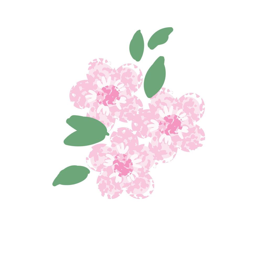 Colorful Illustration of Cherry Blossoms Flowers Isolated on White Background vector