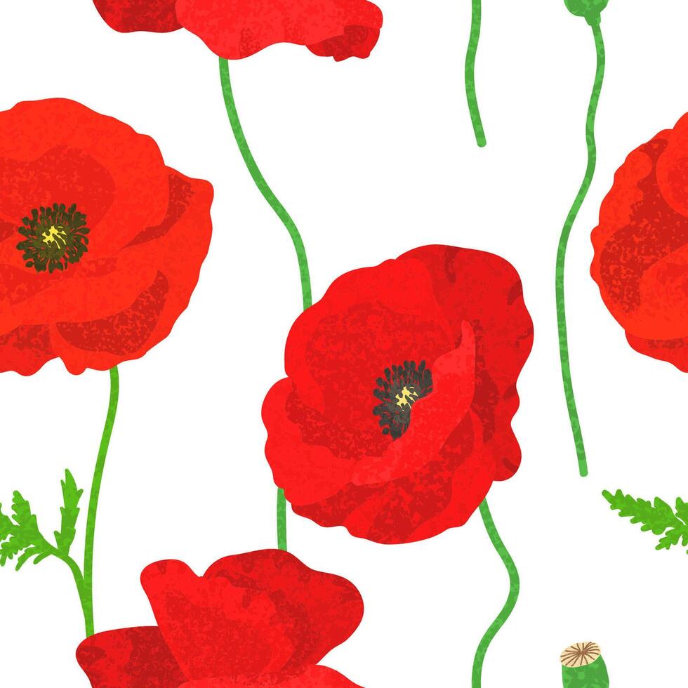 Floral Seamless Pattern with Colorful Textured Illustrations of Red Poppies on White Background vector
