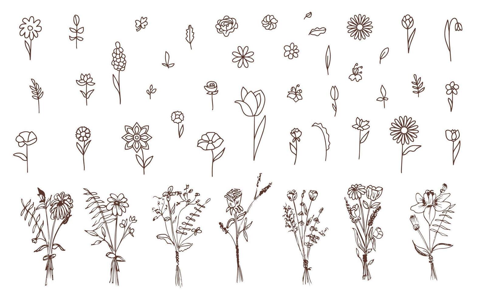 Collection of flowers, field, meadow, in linear style. Hand drawn flowers. Minimalistic design of beautiful flowers on a white background. vector