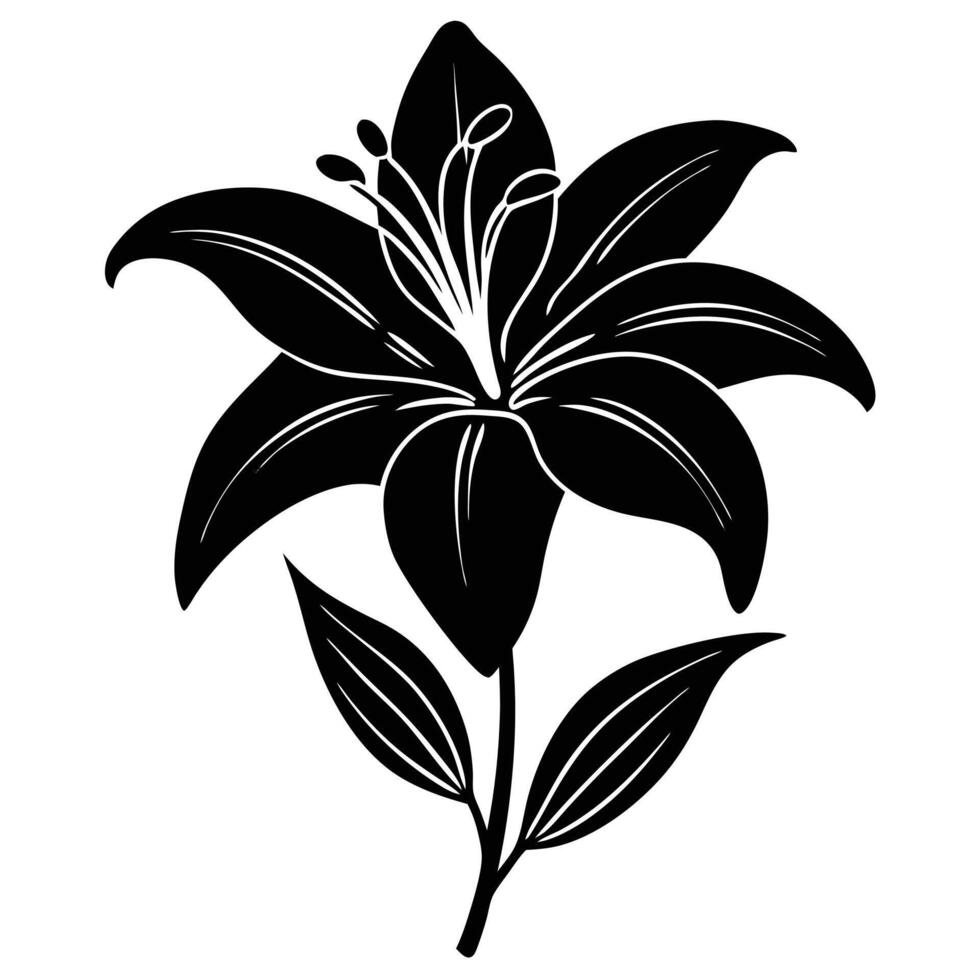 A black and white lily flower on a white background vector
