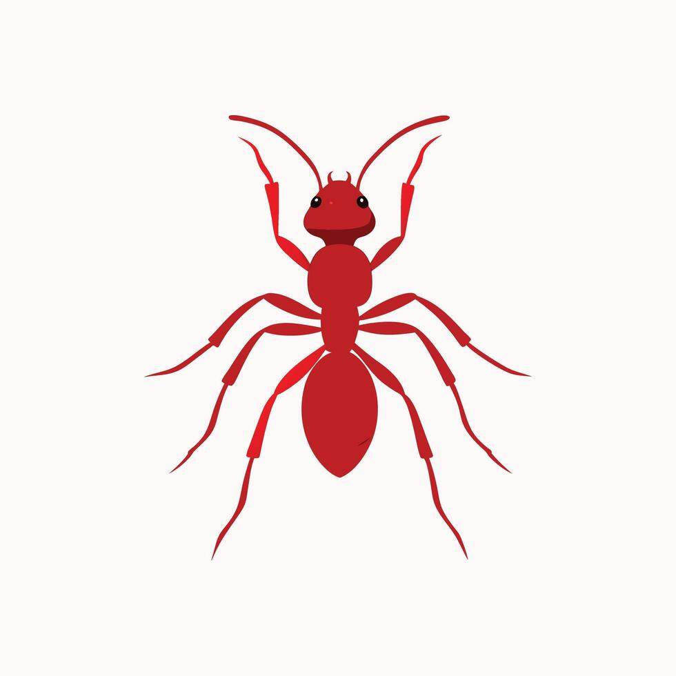 Red Ant on White Background vector