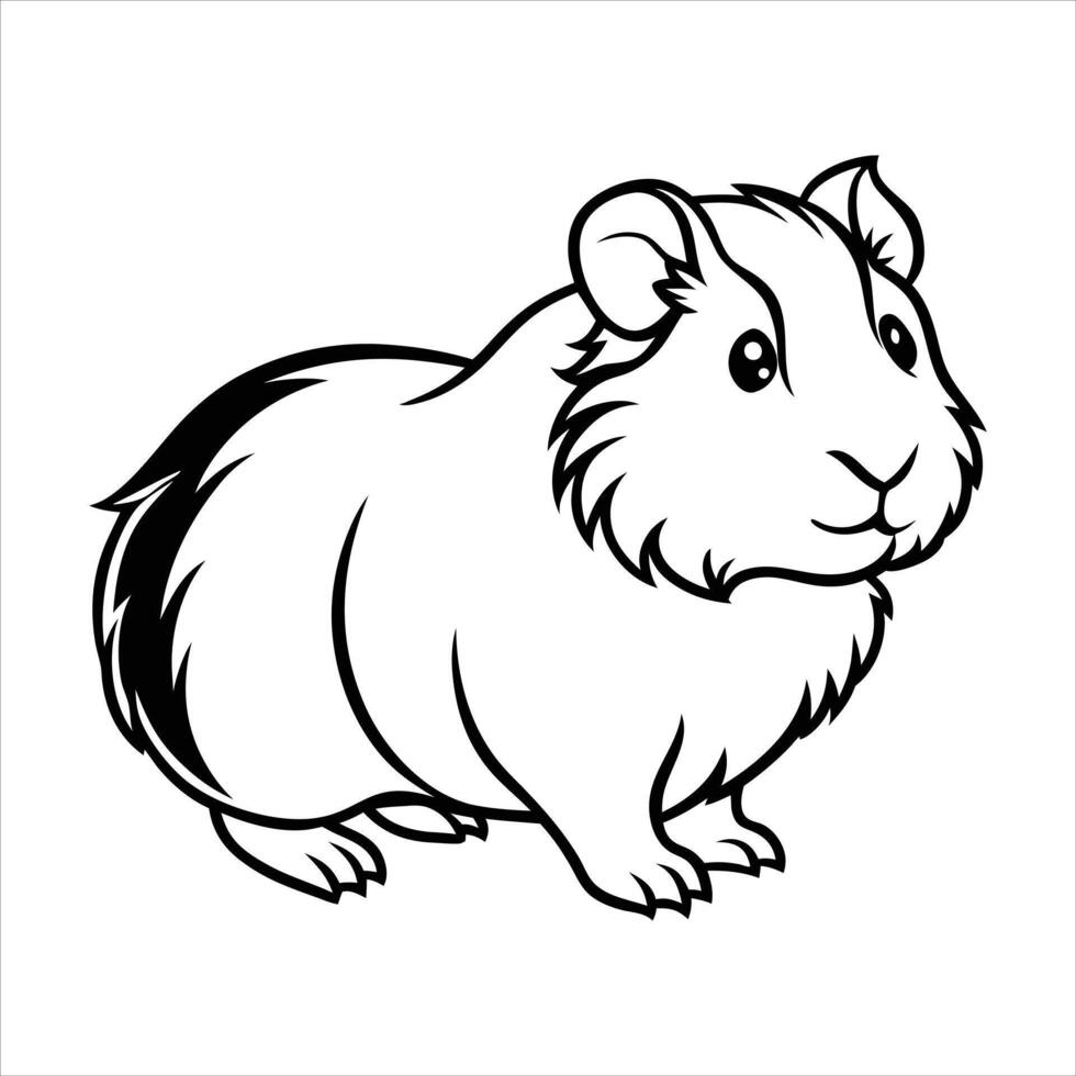 Abyssinian Guinea Pig on White Background Cute Pet Design vector