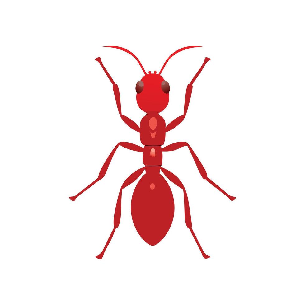 Ant on White Background vector