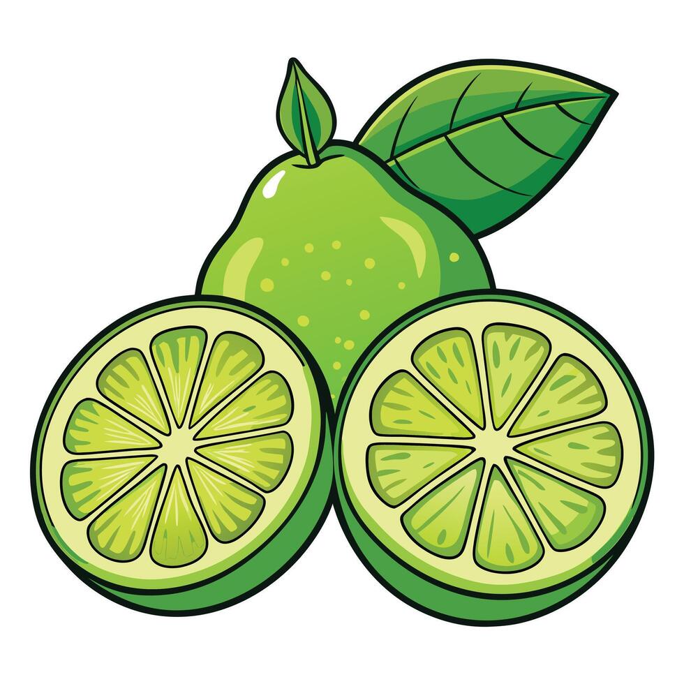 A vibrant illustration of a whole lime and two lime halves showcasing their juicy interiors and zesty texture vector