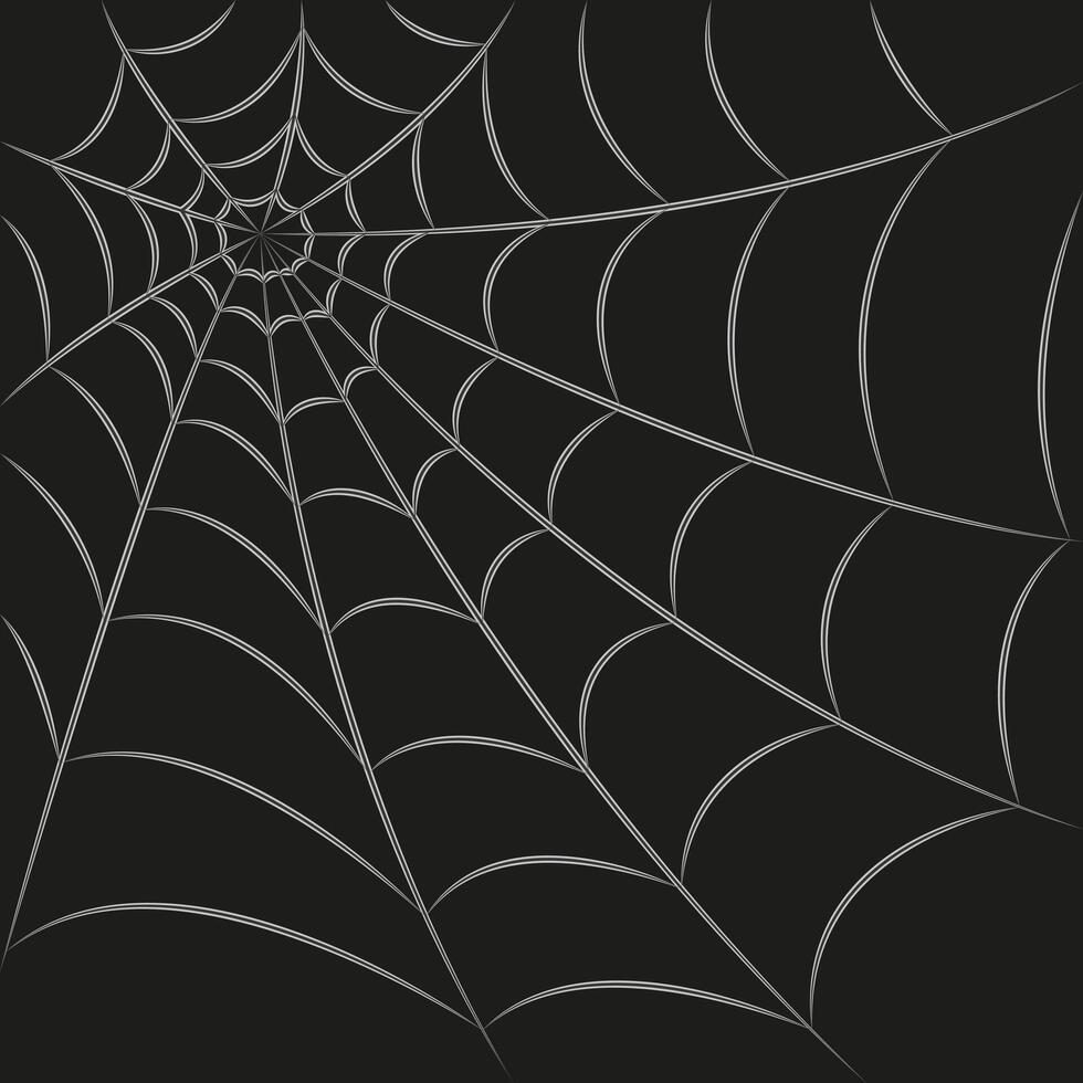 Spider web illustration. Spider web isolated on dark background. Spider web outline illustration. vector