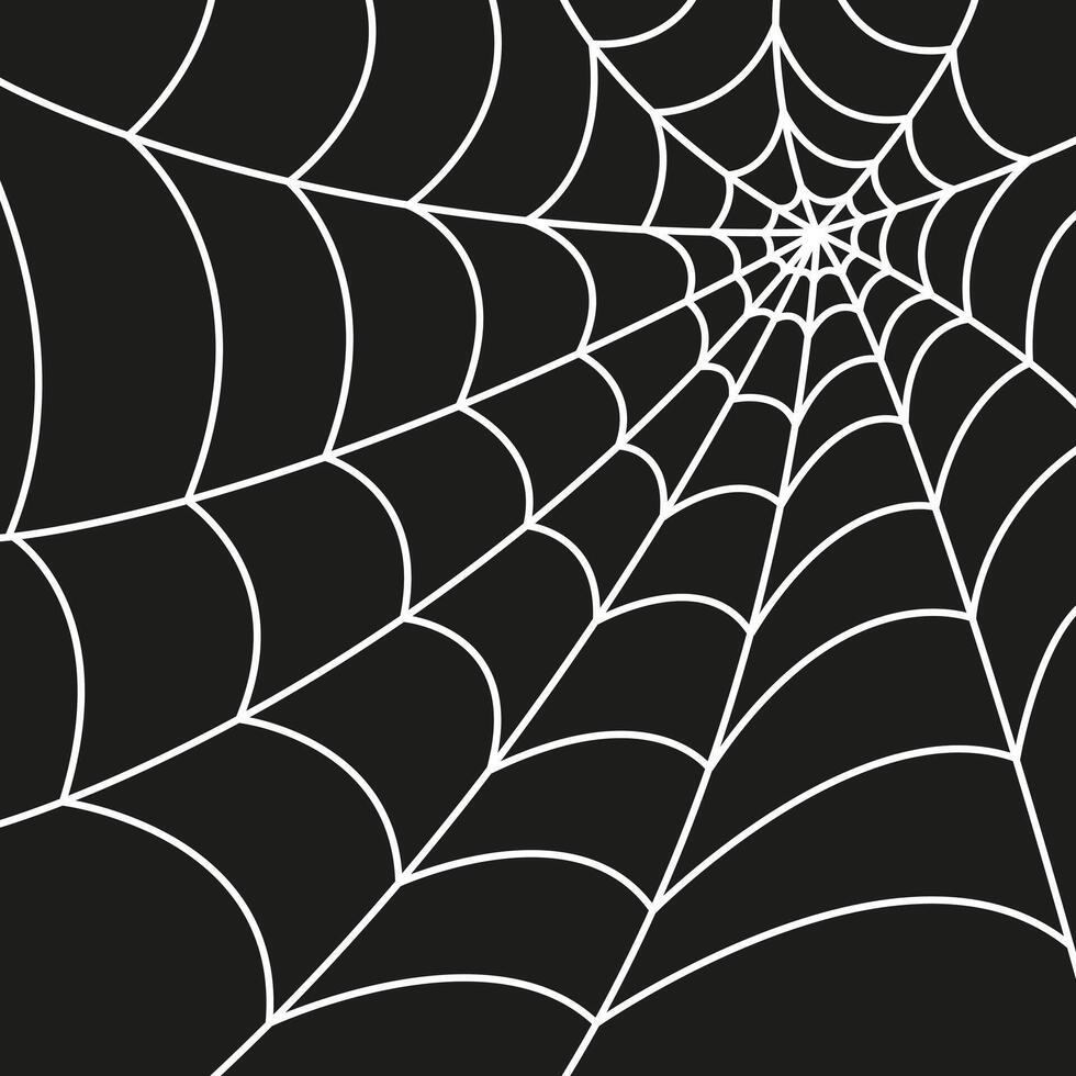 Spider web isolated on dark background. Scary spider web. Spider web outline illustration. vector