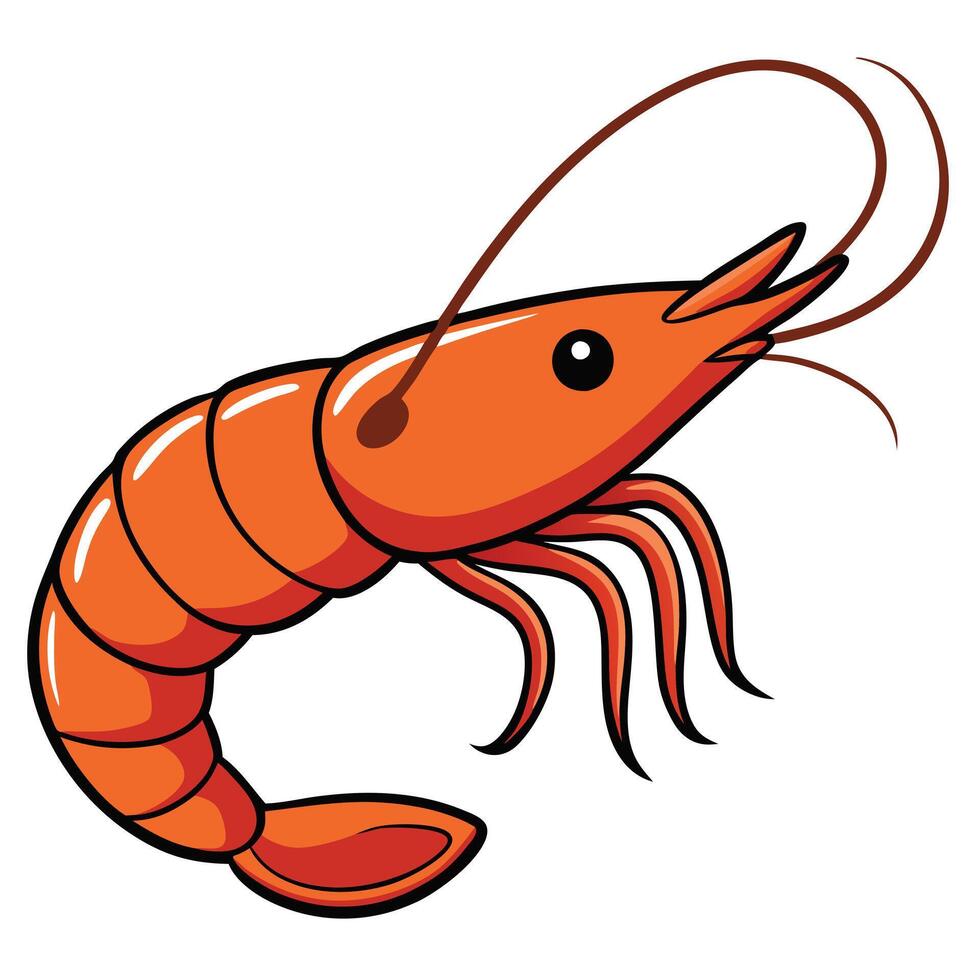 A Cartoon Illustration of a Vibrant Orange Shrimp with Defined Segments and Antennae vector