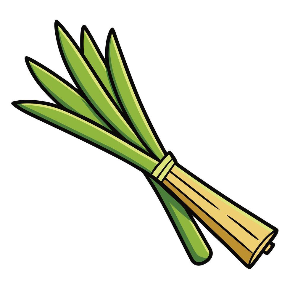A Vibrant Illustration of Fresh Lemongrass Stalks Ready for Cooking vector