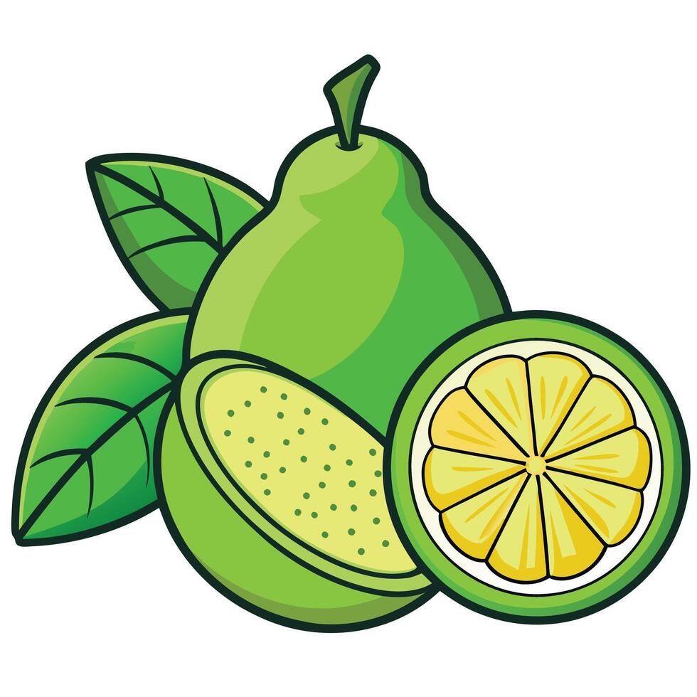 A vibrant illustration of a whole guava and a lime slice with lush green leaves vector