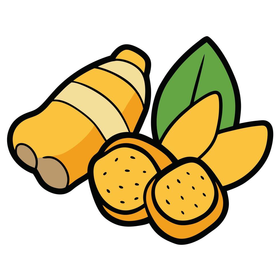 Vibrant illustration of turmeric root and slices with green leaf vector