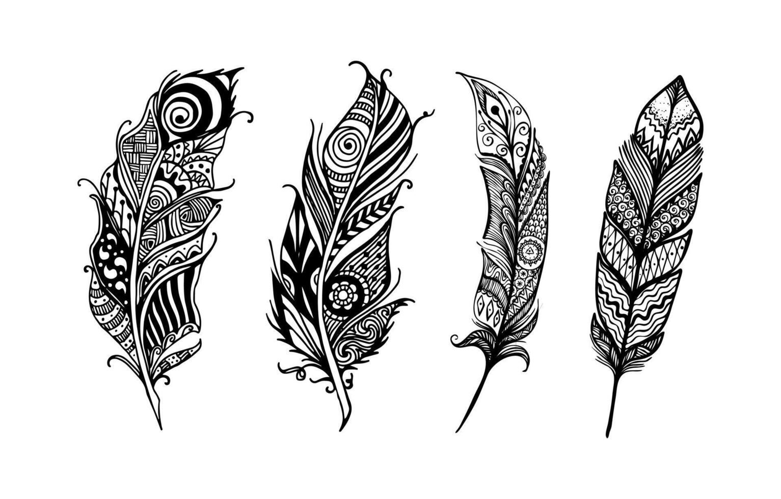 feather ornament illustration in black colour vector
