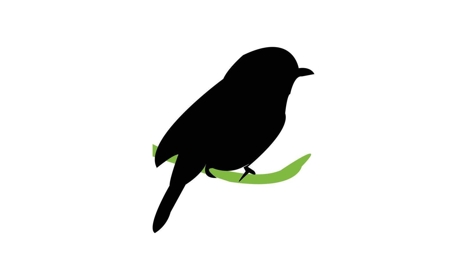 African dusky flycatcher bird black Silhouette Design vector