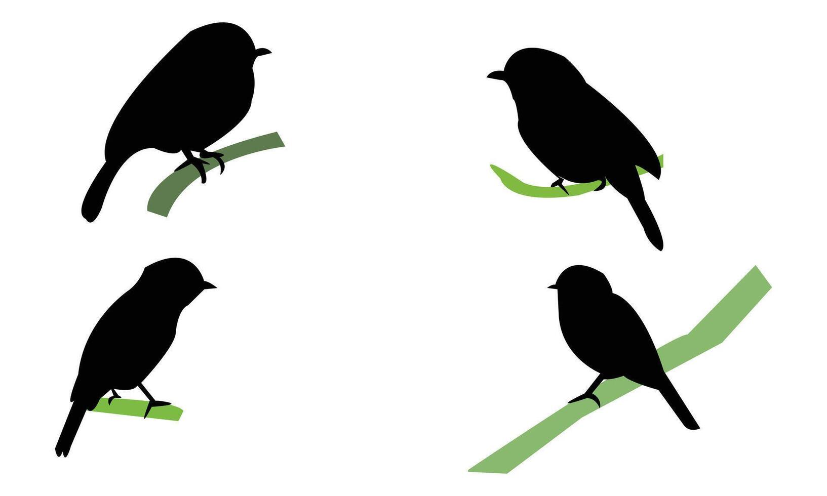 African dusky flycatcher bird Silhouette Collection vector