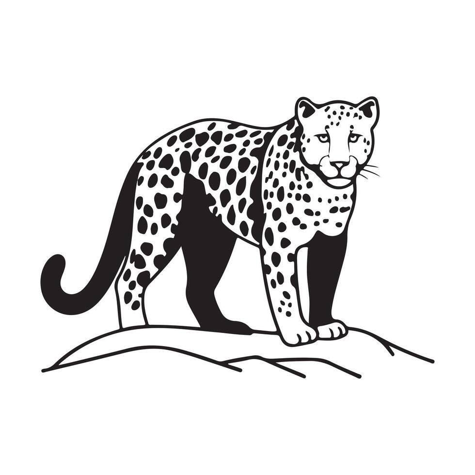 Beautiful leopard on a branch vector