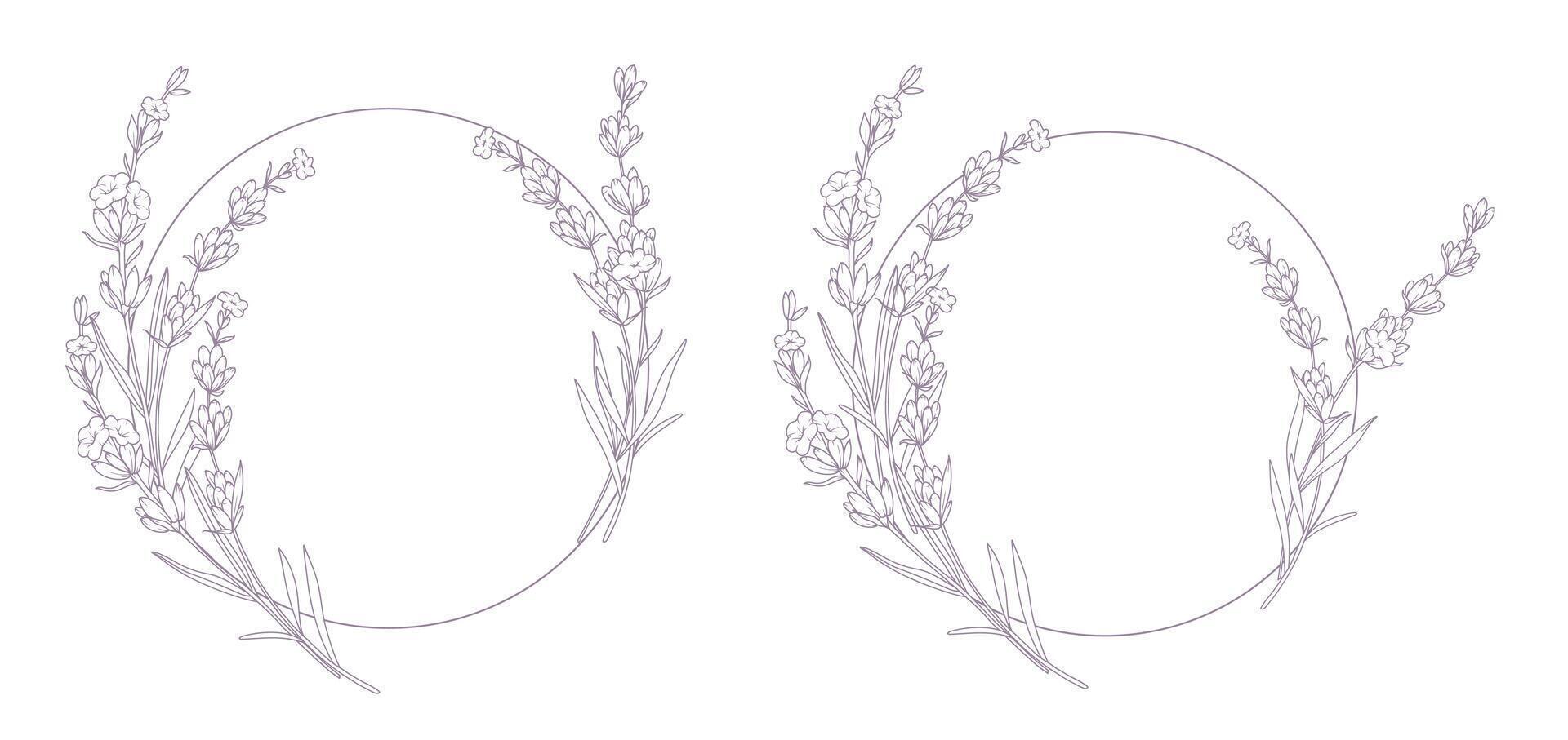 Lavender Round Frames Line Drawing. Outline Lavender illustration. Hand Drawn lavener. Black and white Flowers. Monochrome Floral Line Art. Botanical Coloring. Lavender Wedding vector