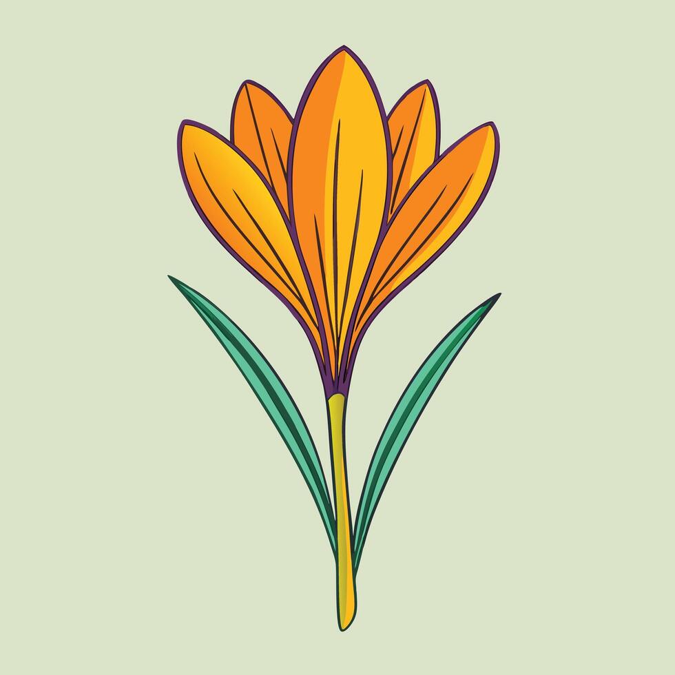 A Vibrant Illustration of a Single Orange Crocus Flower with Green Leaves vector
