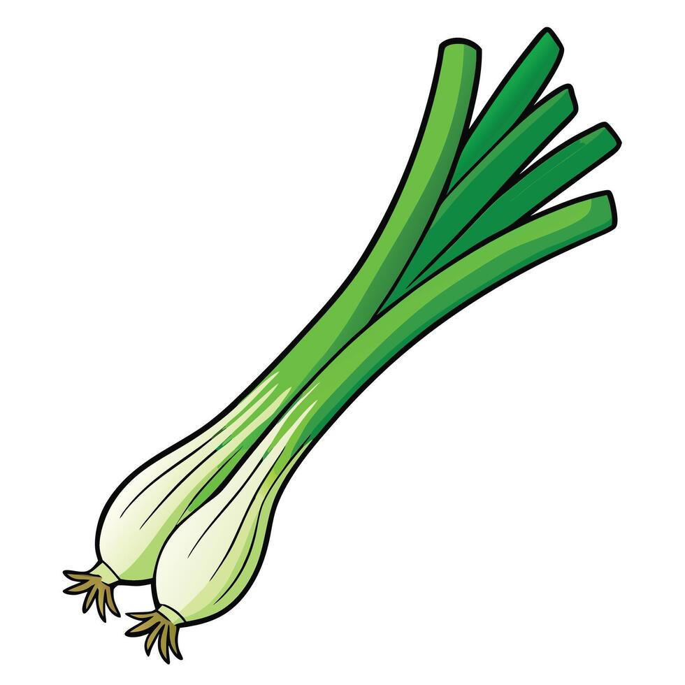 A vibrant illustration of fresh green onions a bunch of scallions ready to be used in cooking vector