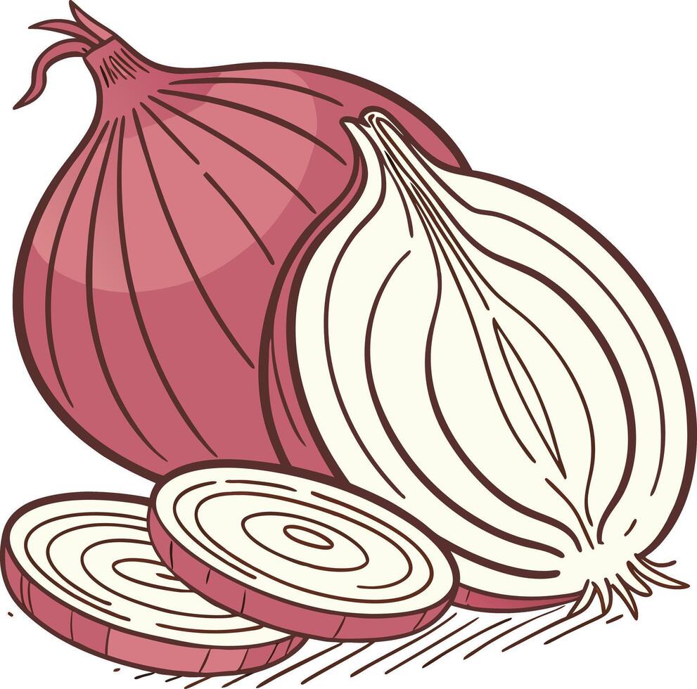 An onion and a slice of onion vector