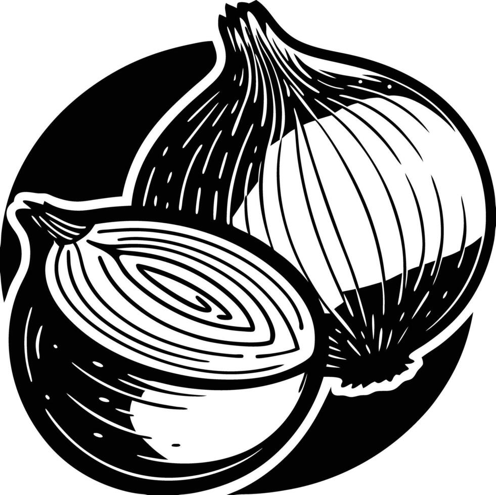An onion is shown in a black and white drawing vector