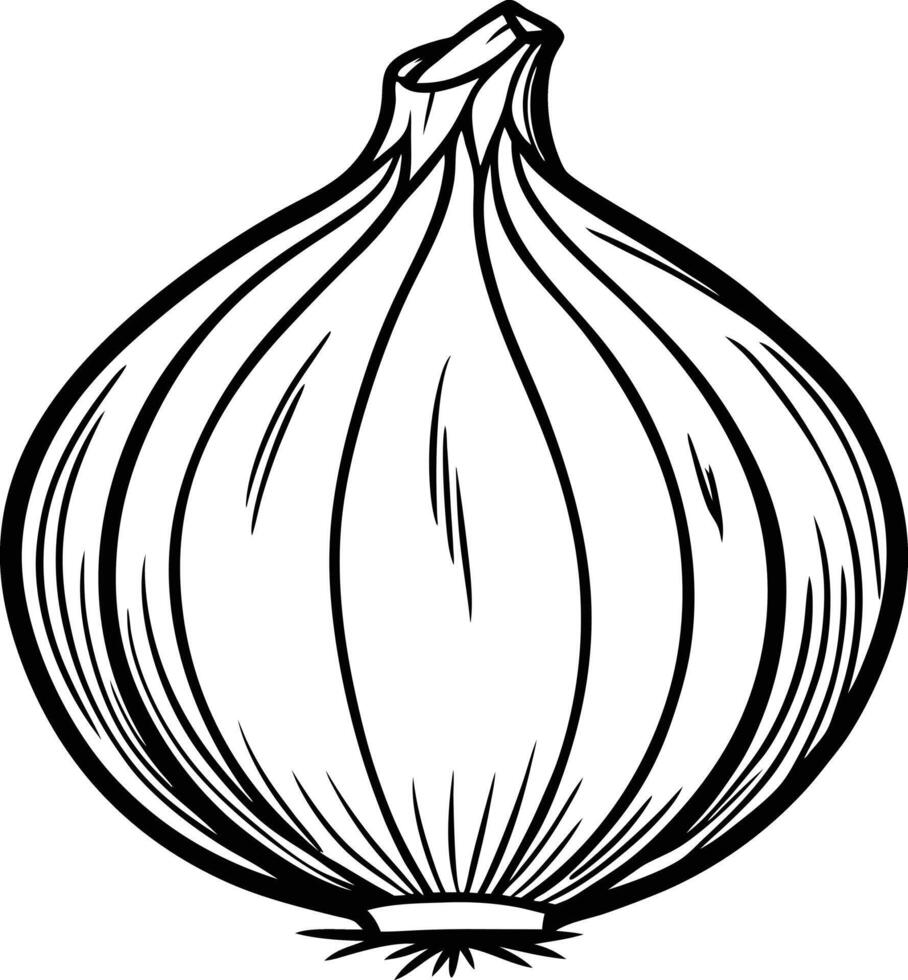 An onion is drawn in black and white vector