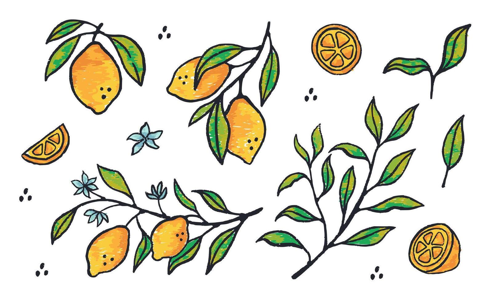 Hand drawn set of lemons fruit. Slice of lemon with branch and flower in ink doodle style. Paint brush creative art vector