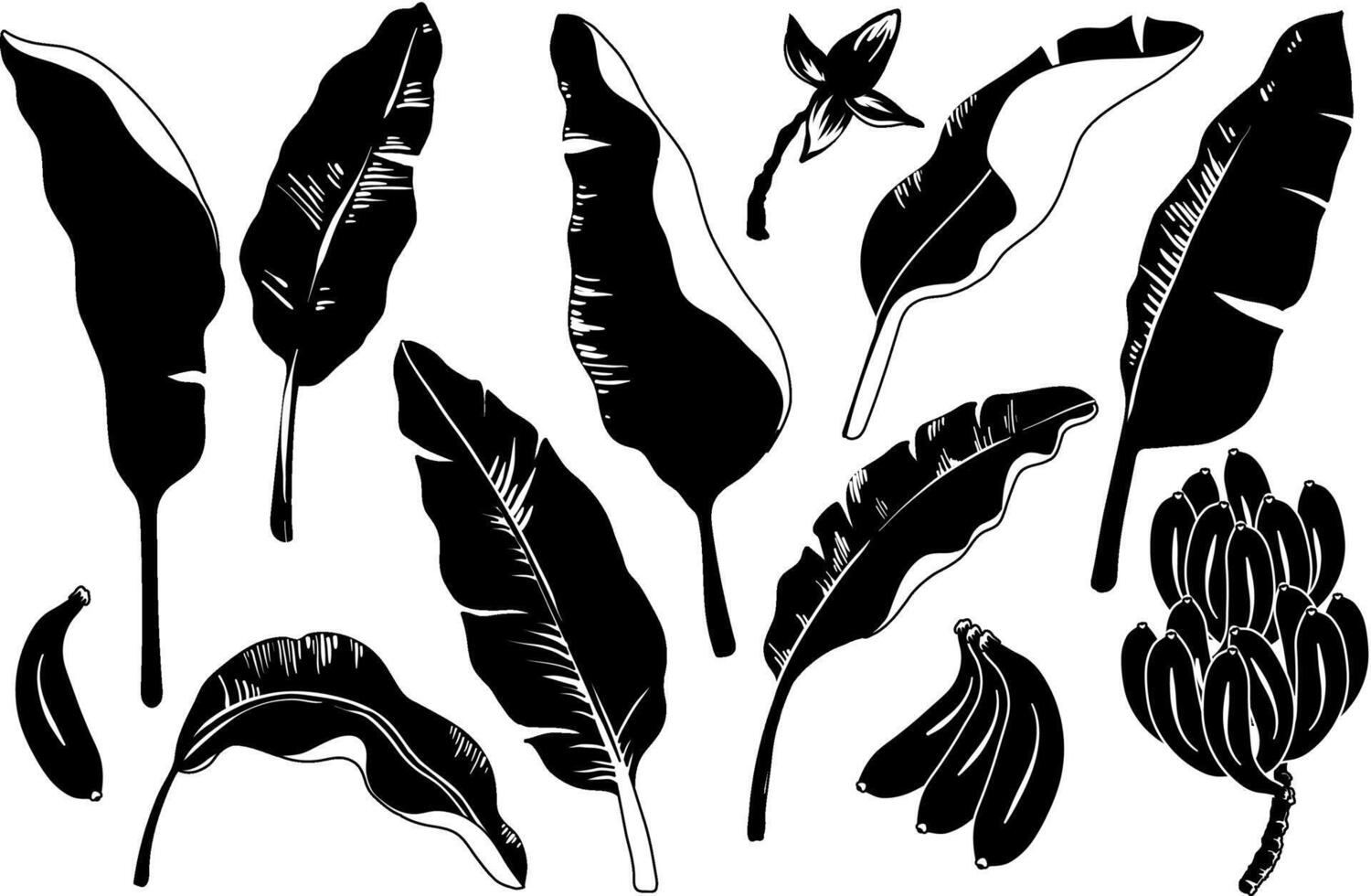 Cartoon bananas set. silhouette banana leaves, bunch of bananas. Yellow tropical fruits and leaves. Exotic sweet desserts. illustration. vector