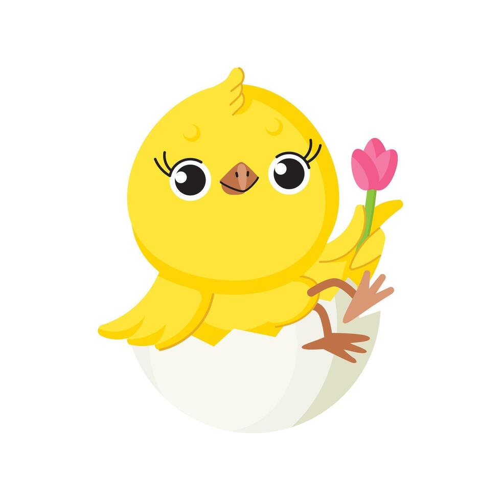 Cute cartoon chicken with tulip. Funny yellow chick in an eggshell. vector