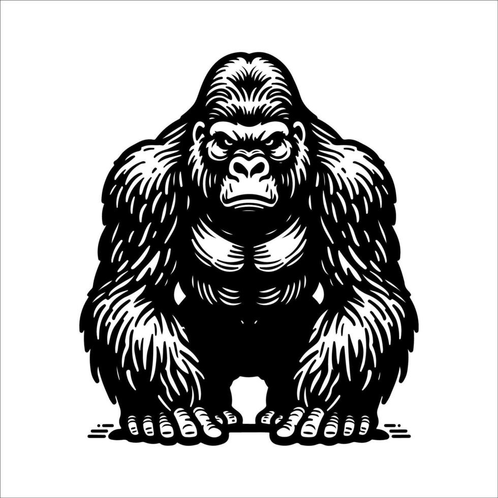 Gorilla. outline graphic illustration of a gorilla isolated on white background vector