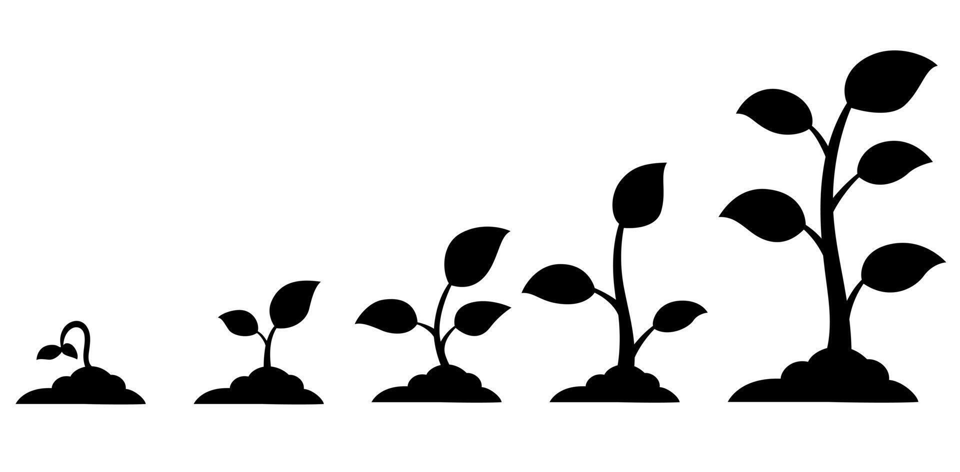 Black silhouette of a plant growing from a seed. Ideal for nature blogs, gardening websites, educational materials, or environmental presentations. vector