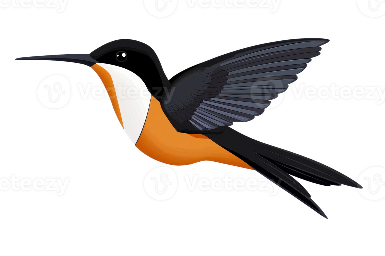 colorful hummingbird with vibrant orange and black feathers, gracefully flying with its wings spread wide, showcasing its unique beauty and agility png