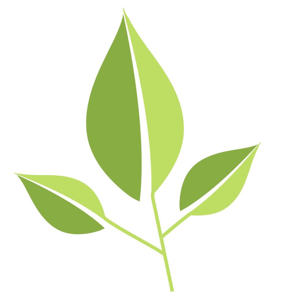 Eco icon three green leaves flat vector