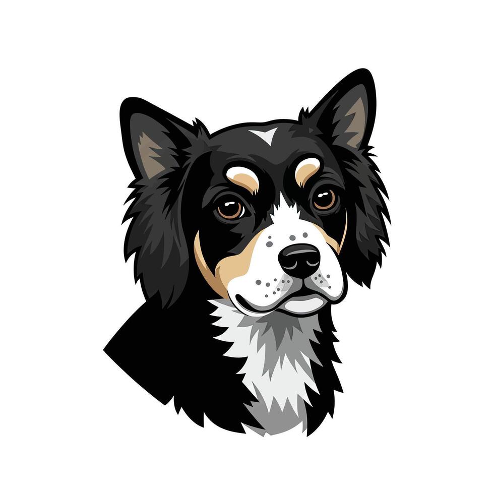 A black and white dog with a big head vector
