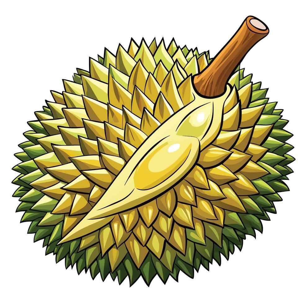 durian fruit with a knife on top of it vector