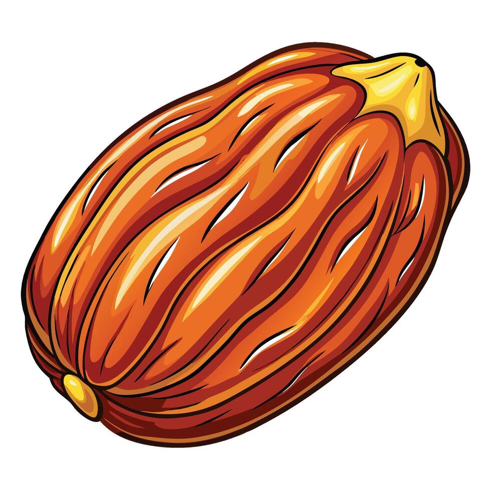 cocoa pod illustration isolated on white background vector