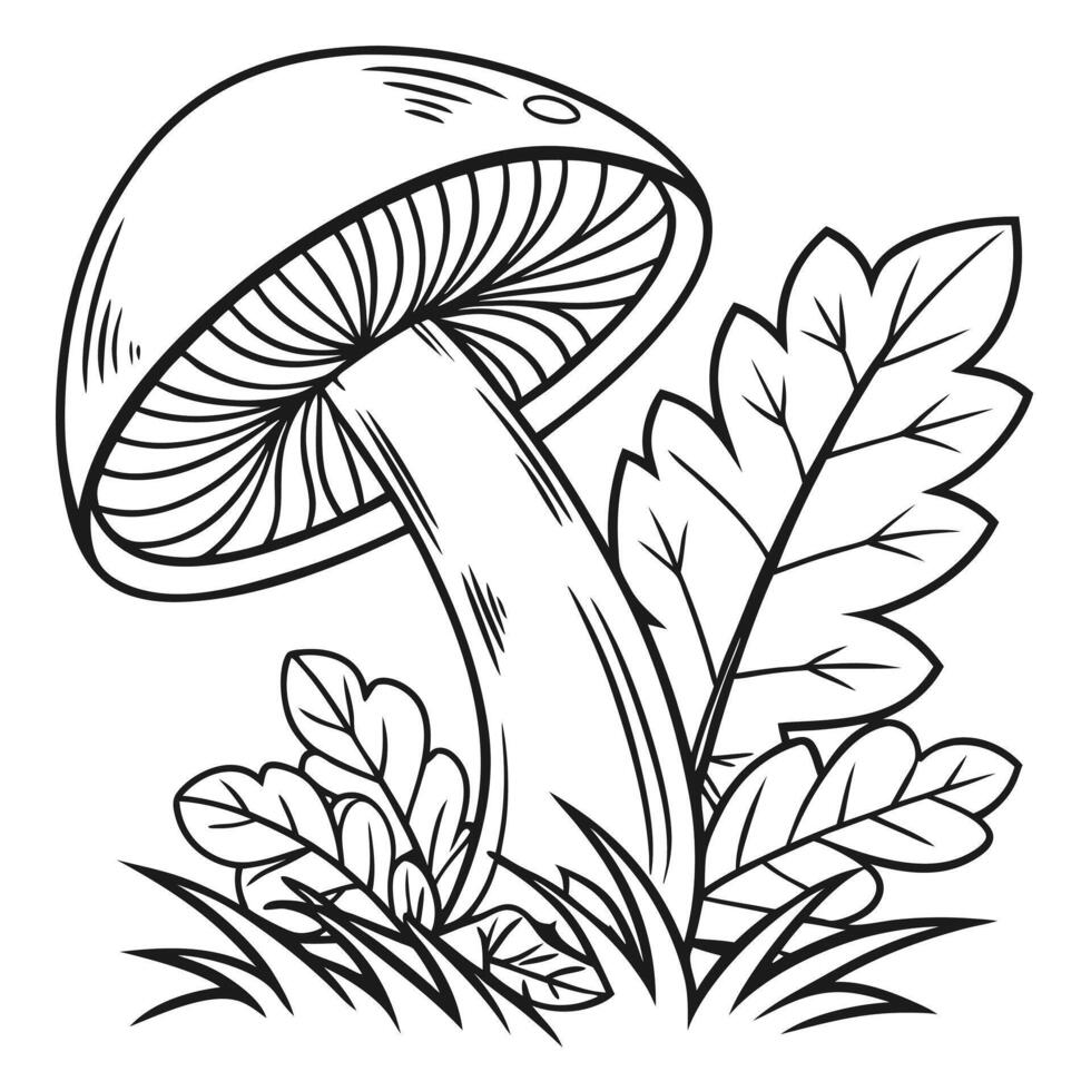 A detailed black and white line drawing of a mushroom vector