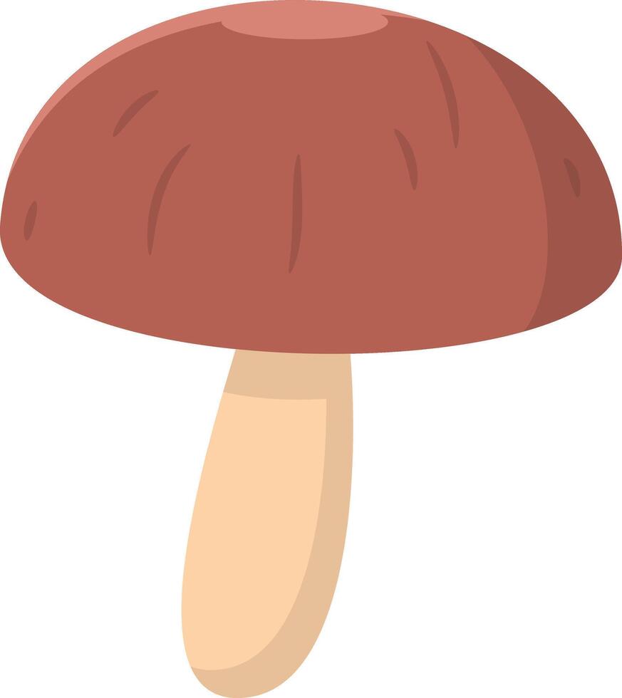 Mushroom Adobe Illustrator Artwork vector