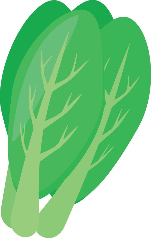 Mustard Adobe Illustrator Artwork vector