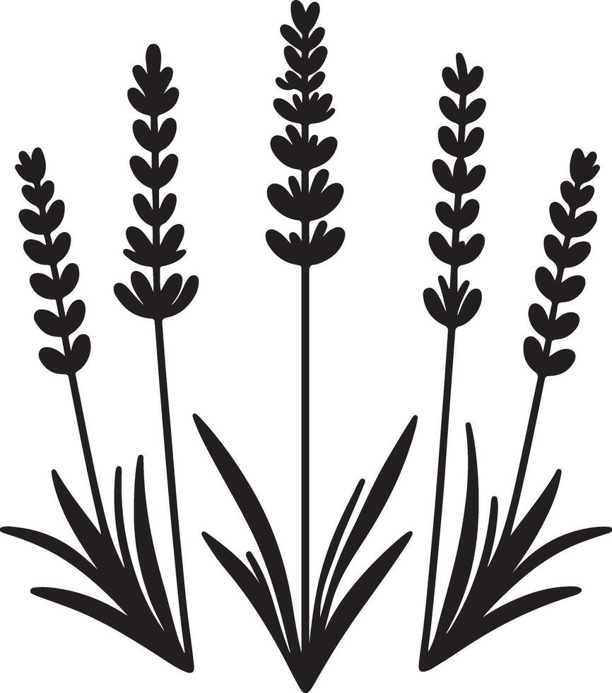 lavender flower flower silhouette illustration vector