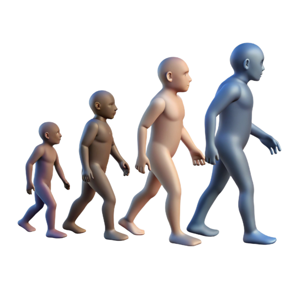 stunning abstract serene rustic Human Evolution 3D Model high resolution detailed png