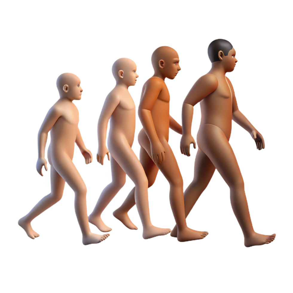 vibrant modern impressive abstract Human Evolution 3D Model genuine exclusive png