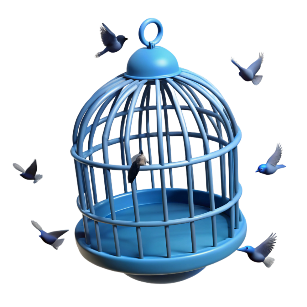 vibrant traditional beautiful modern 3D Render Blue Birdcage and Freedom high quality authentic png