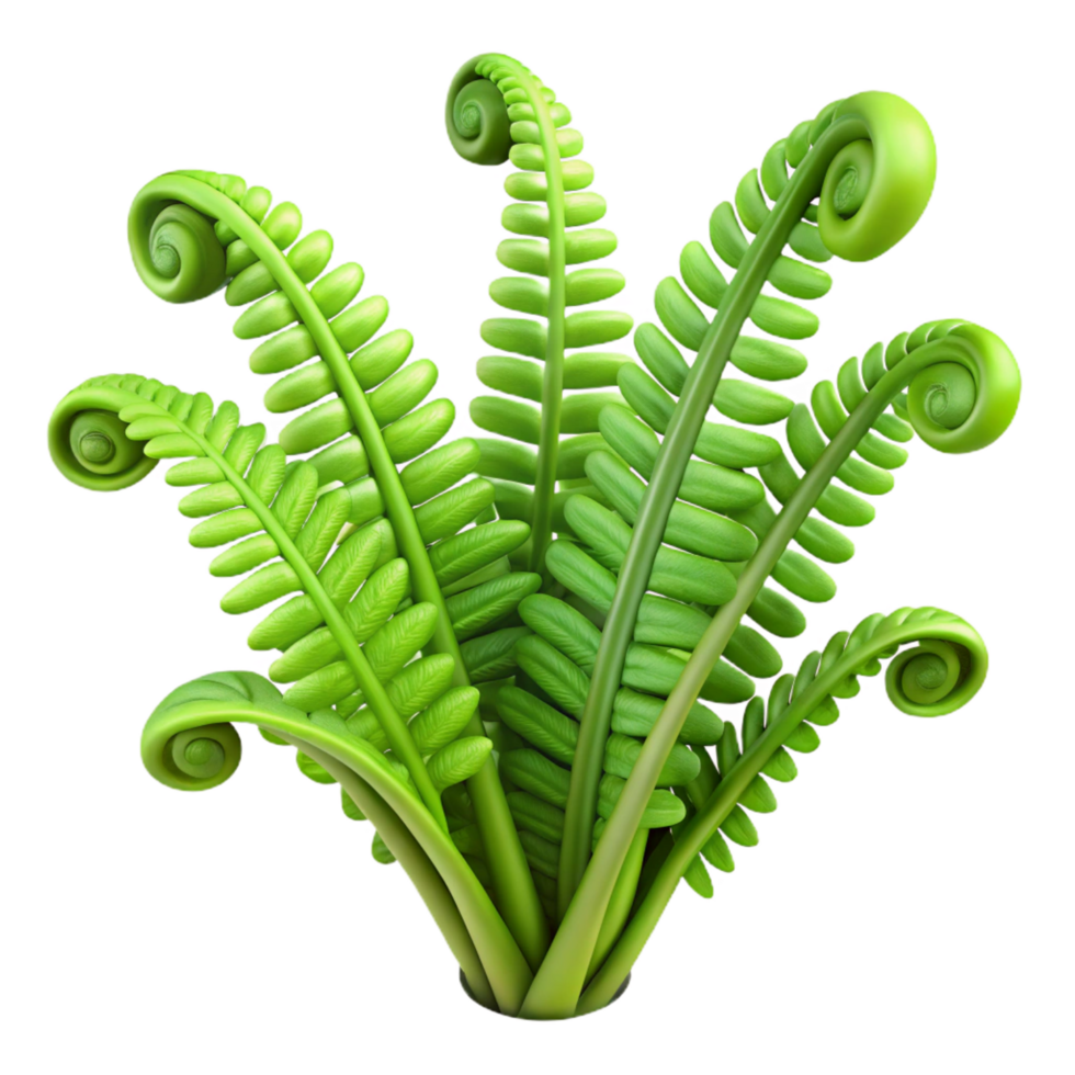 elegant rustic vibrant rustic 3D Render Lush Green Fern Illustration high resolution high quality png