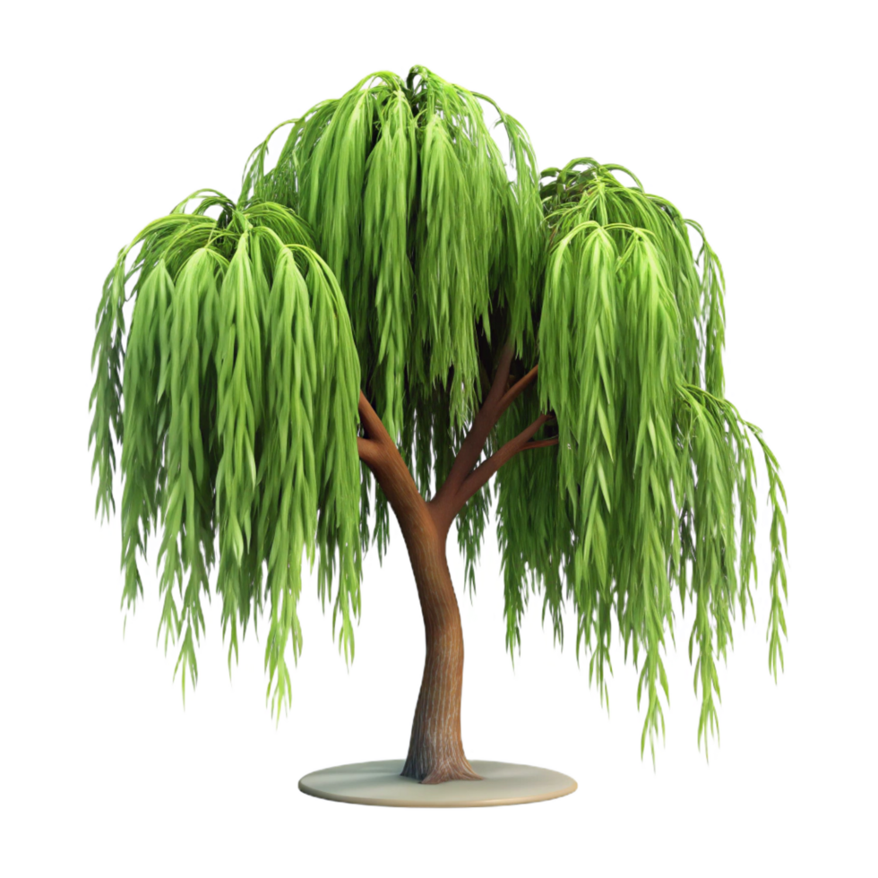 dramatic vintage 3D Weeping Willow Tree Model premium png