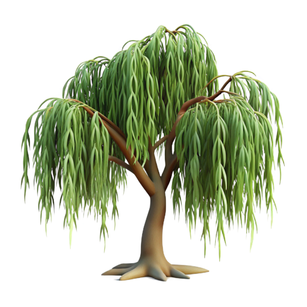 vibrant rustic Cartoon Weeping Willow Tree 3D Render premium png