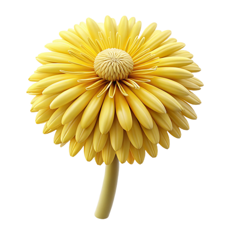 elegant artistic Yellow Dandelion Flower Isolated with Seed Head premium png