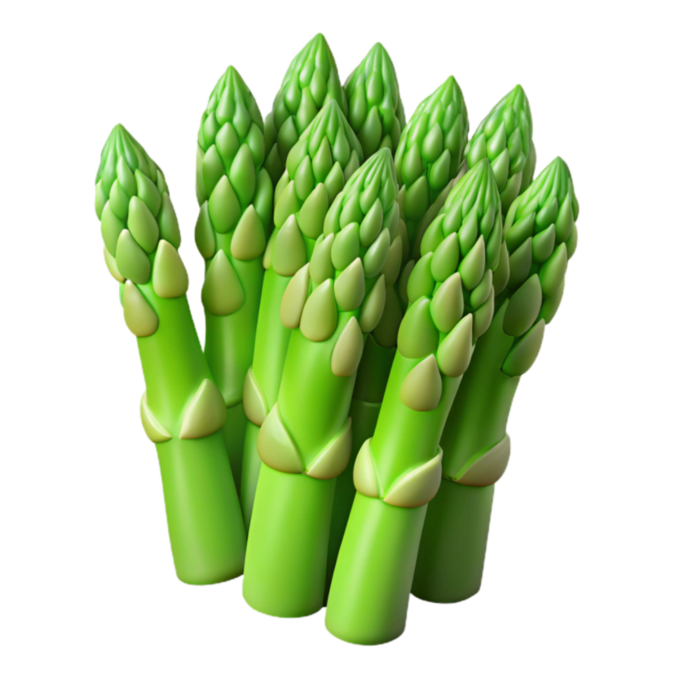elegant minimalist Fresh Green Asparagus Spears Cutout on Transparent Background exclusive png