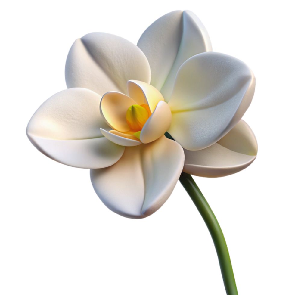 elegant creative A Stem of White Orchid with Intricate Petal Details, Softly authentic png