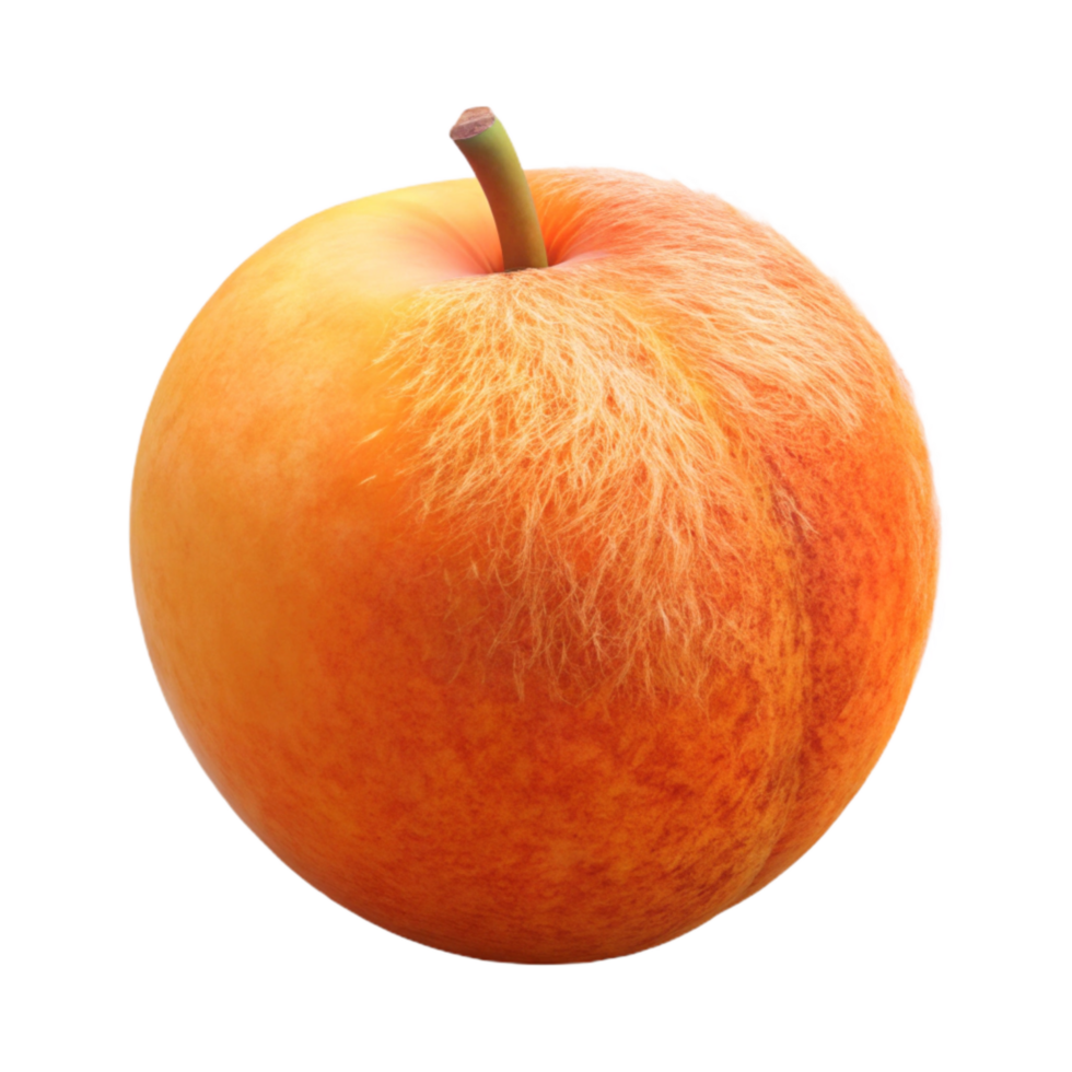 elegant classic Apricot Orange Whole Isolated Element with Fuzzy Skin professional png