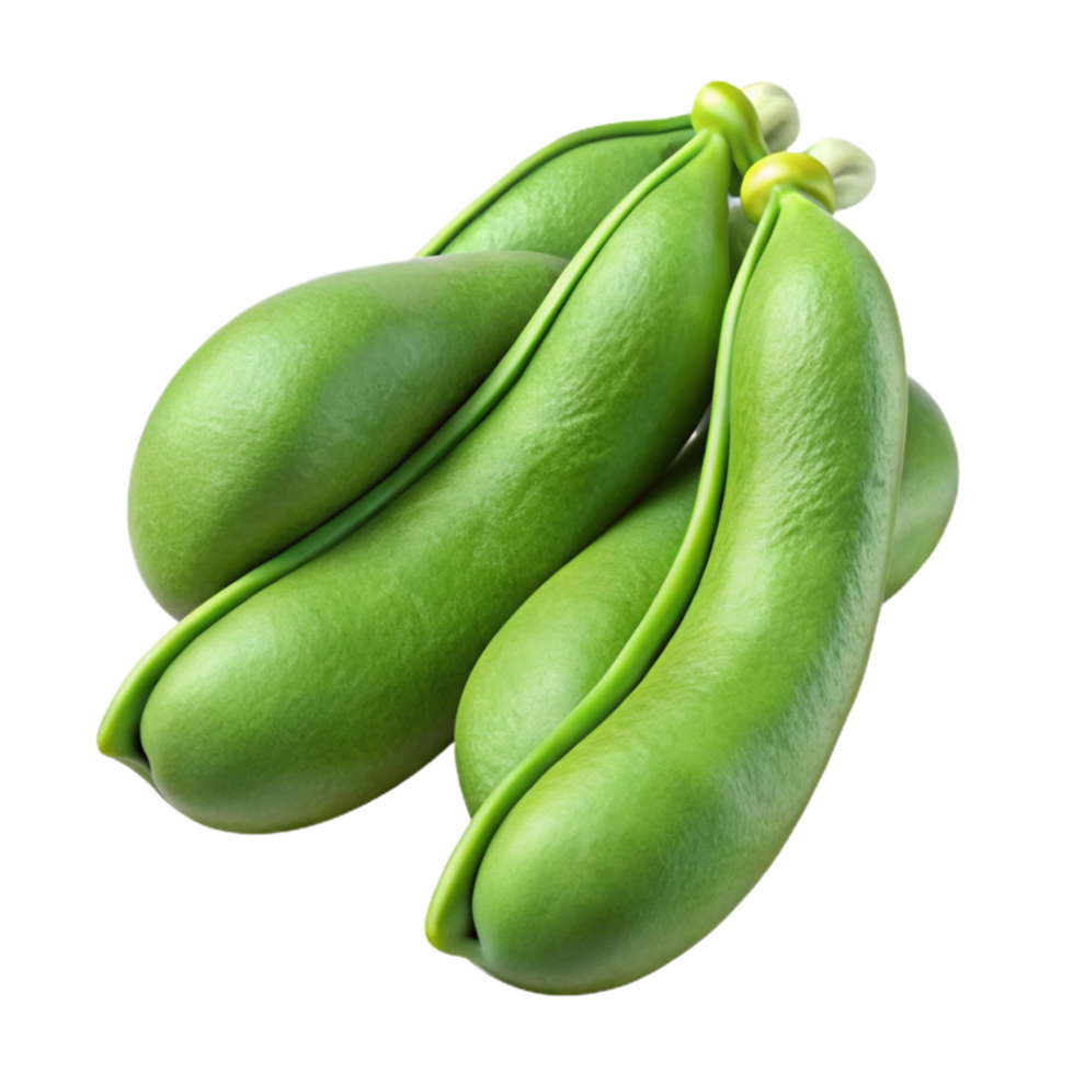 dramatic abstract Green Beans Cluster Fresh Cutout Transparent Background high quality png