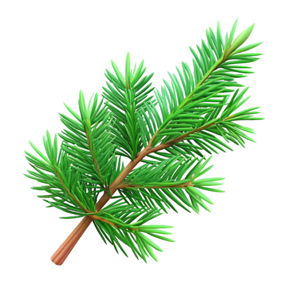 magnificent creative Green Christmas Tree Branch Isolated with Pine Needles professional png